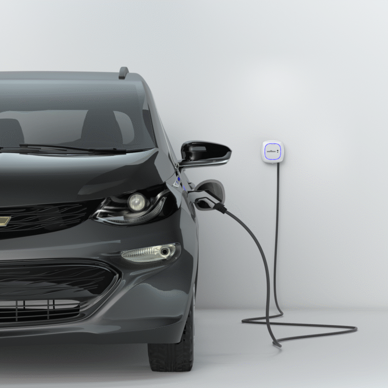 Wallbox Pulsar Max 7kw EV Charge Point, Tethered Charger - Type 2 Only In ElectoGb